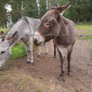 IMG 20200724 103652298 min - Scouts en Gidsen Zaventem 